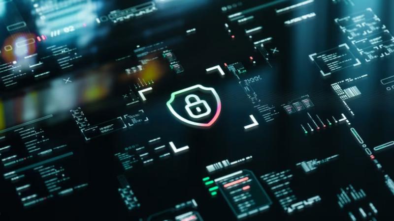 阆中市软件开发公司